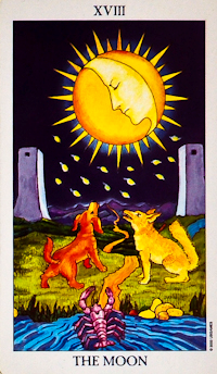 Moon Card Tarot