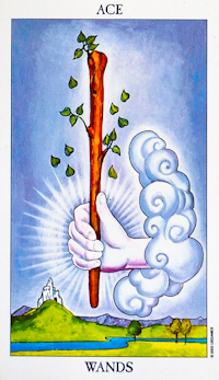 Ace of Wands Tarot Card