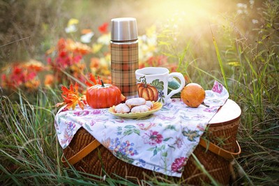 autumn-picnic.jpg