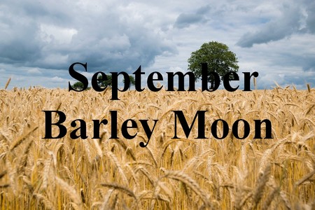 barley-moon.jpg