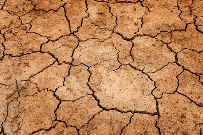 Close-up of brown parched earth. Close-up of brown parched earth.