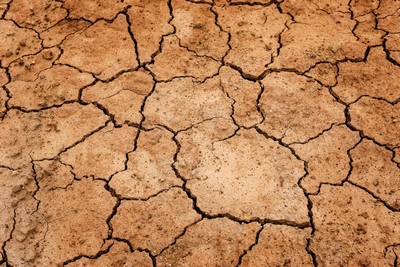 parched and cracked earth
