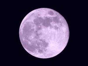 Full Pink Moon on black background.