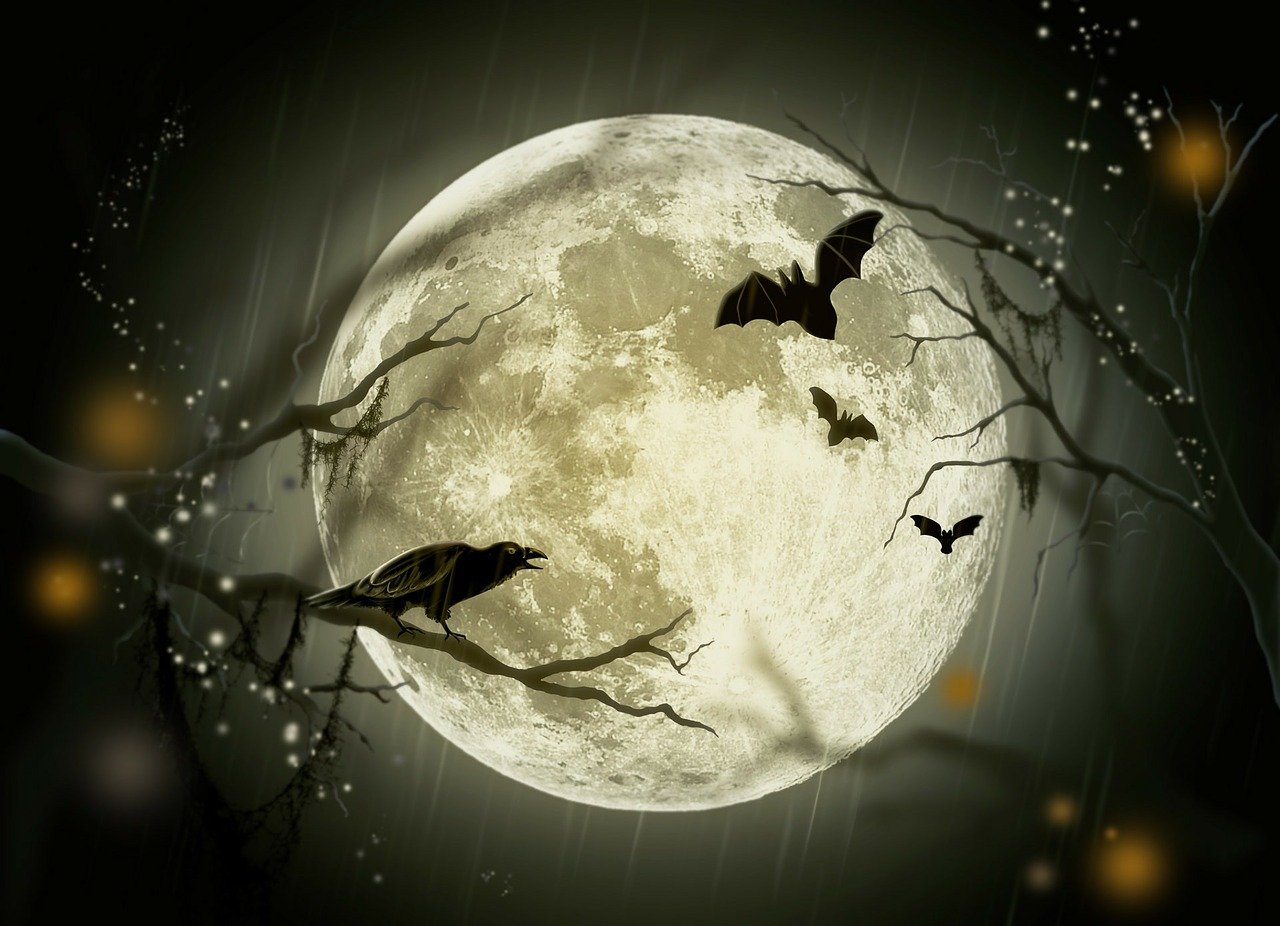 Silhouettes of crows set against a full Moon