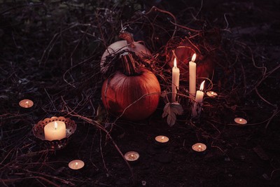 Pumpkin, candles and animal skull Pumpkin, candles and animal skull