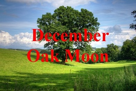 oak-moon.jpg