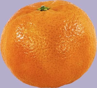 Orange Fruit