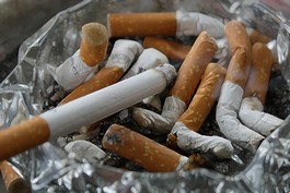 Close up of discarded cigarette butts in an ashtray.