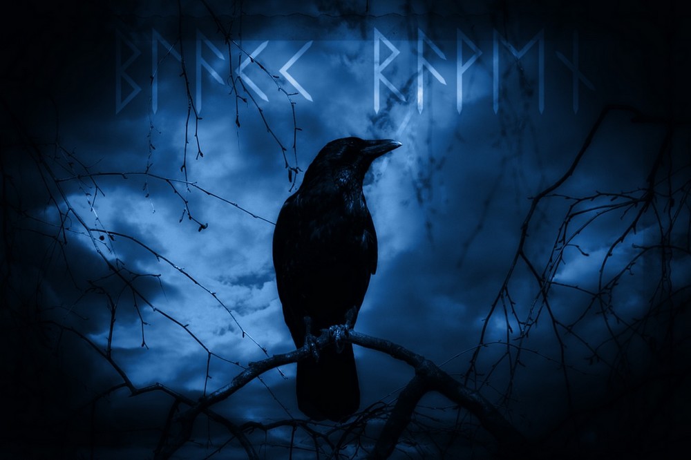 dark raven
