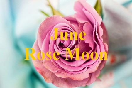 rose-moon.jpg