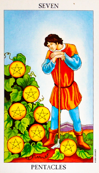 Seven of Pentacles Tarot Card