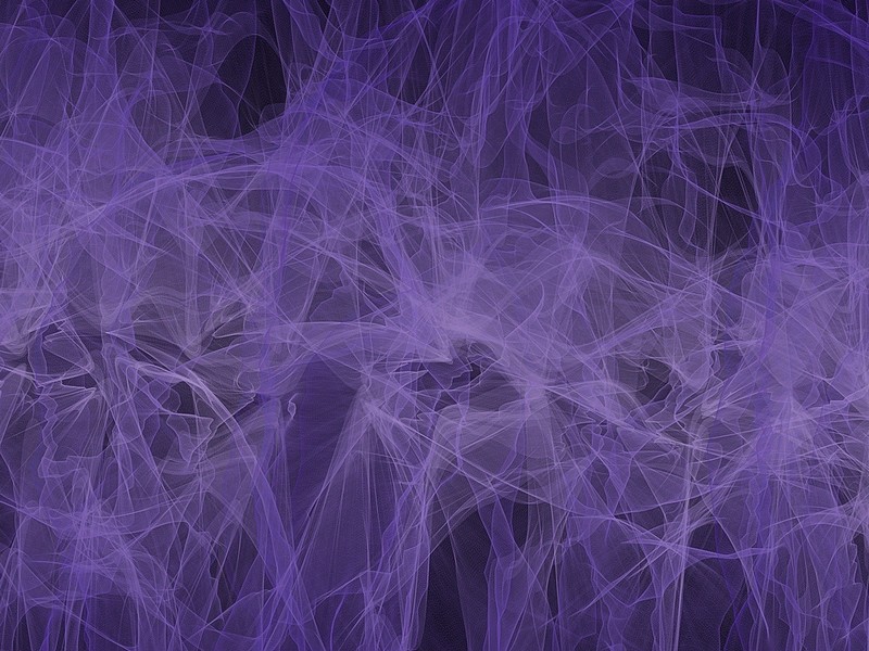 A complex web of thin purple lines. A complex web of thin purple lines.