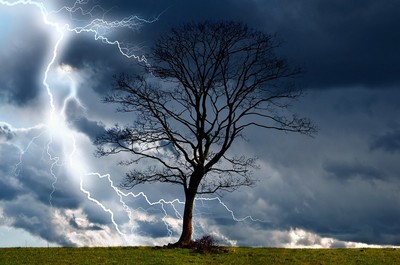 Lightening striking a tree