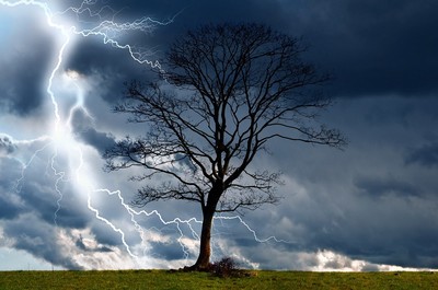 Lightening striking a tree