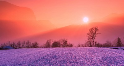 Winter scene under a setting sun