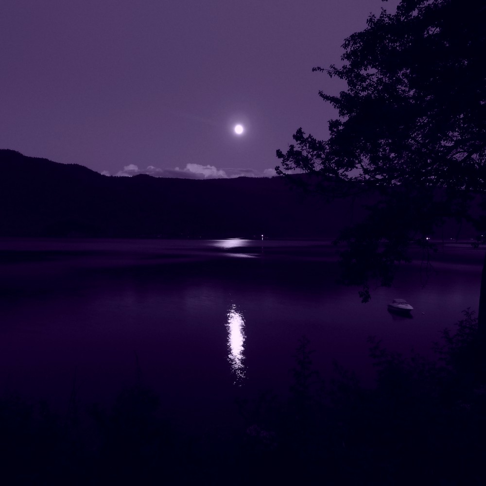 Blue Moon reflected in a lake at night