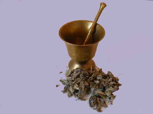 herb magic sage